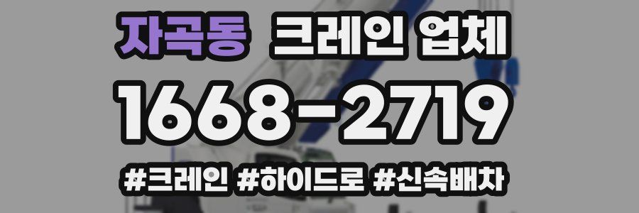 자곡동 크레인 업체