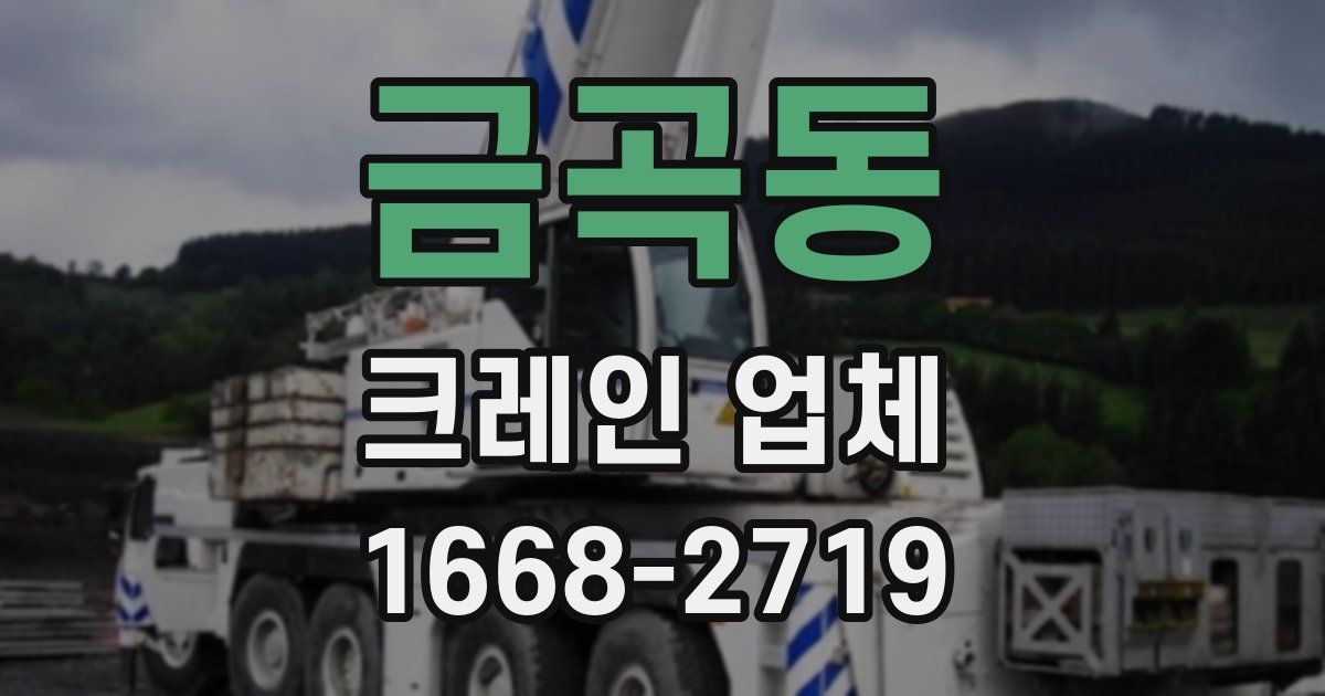 금곡동 크레인 업체