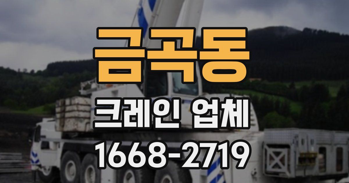 금곡동 크레인 업체