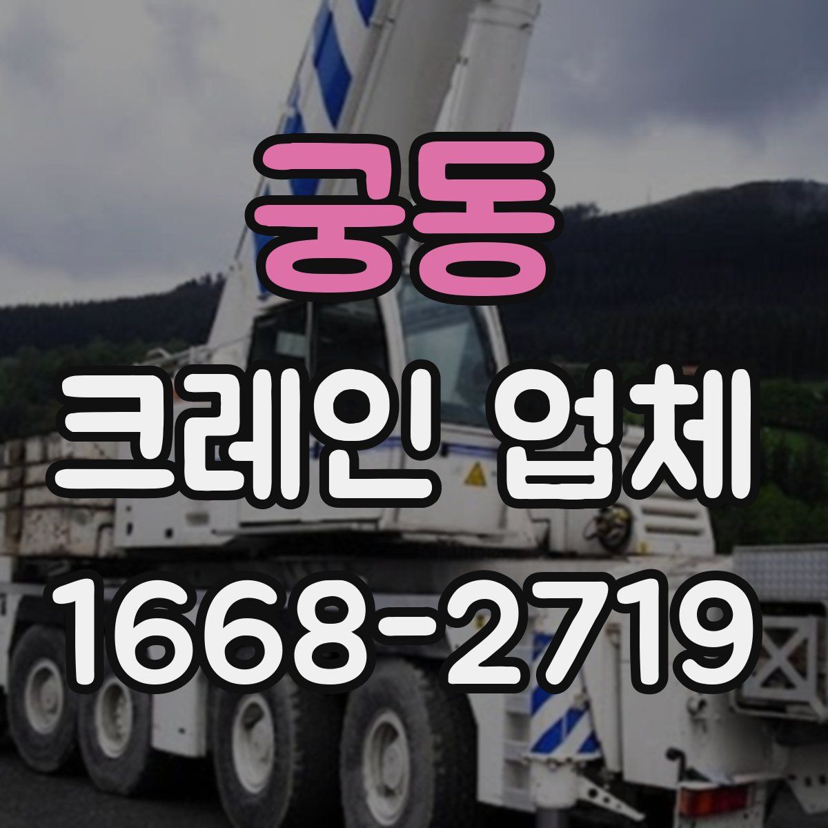 궁동 크레인 업체