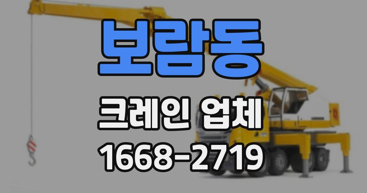 보람동 크레인 업체