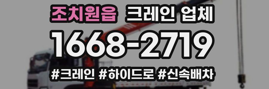 조치원읍 크레인 업체