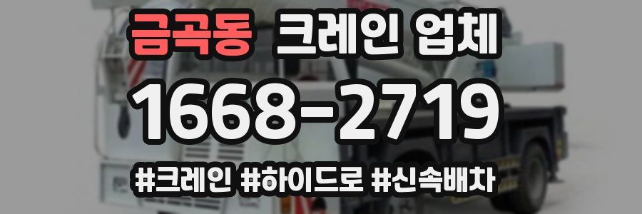 금곡동 크레인 업체