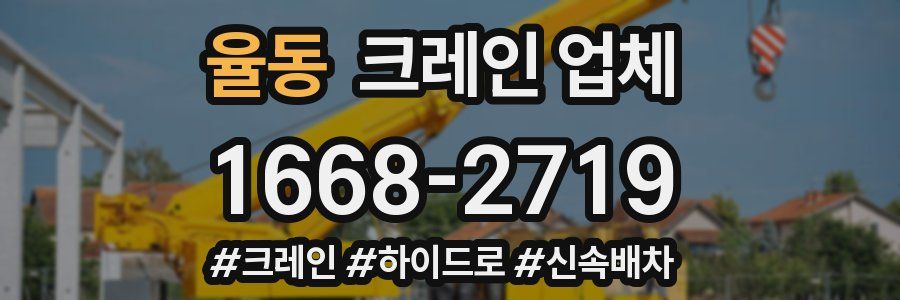 율동 크레인 업체