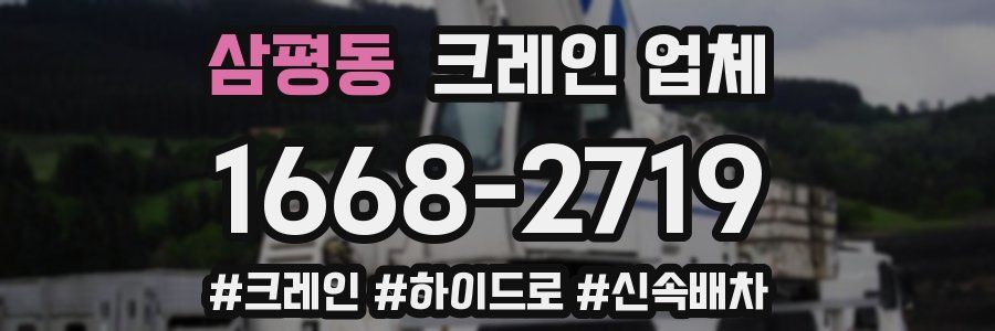 삼평동 크레인 업체