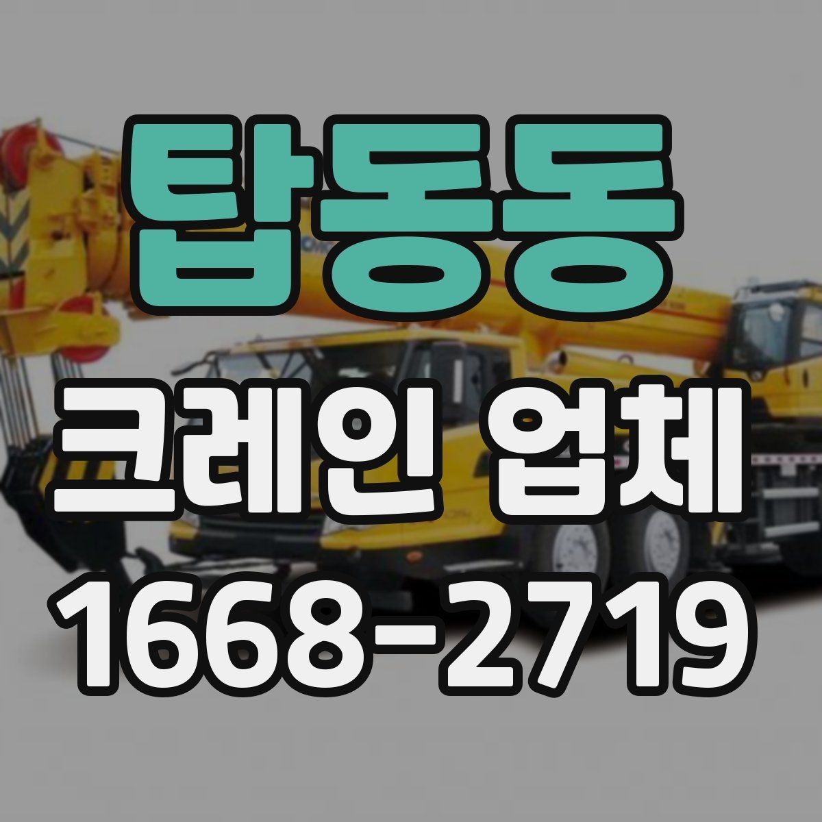 탑동동 크레인 업체 진행 절차와 현장 준비