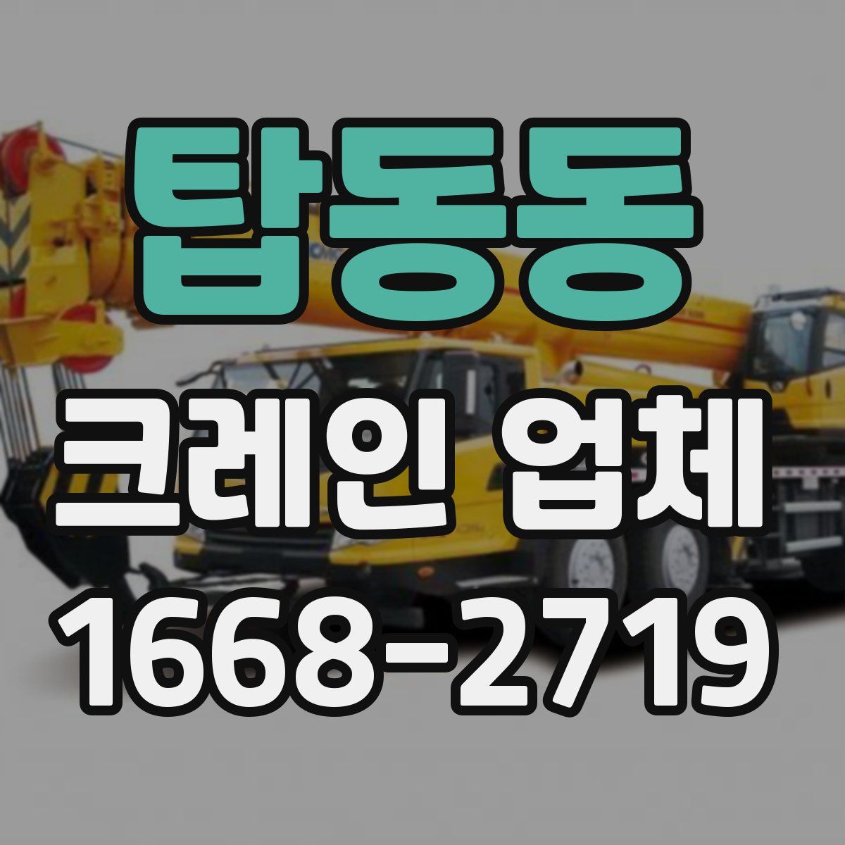 탑동동 크레인 업체