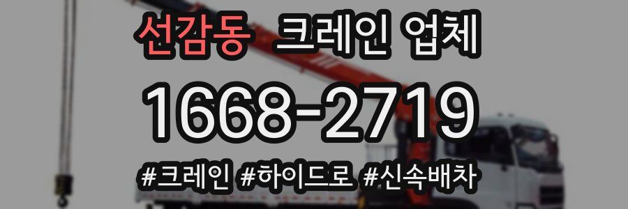 선감동 크레인 업체