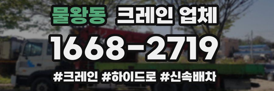 물왕동 크레인 업체