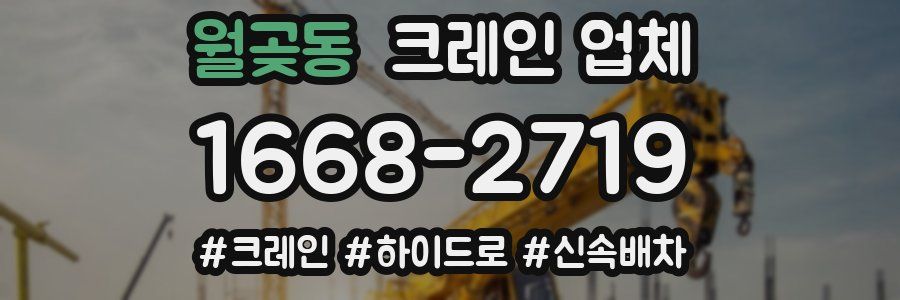 월곶동 크레인 업체