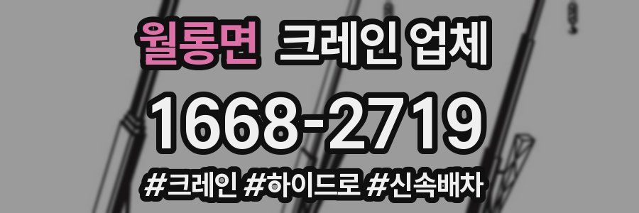 월롱면 크레인 업체