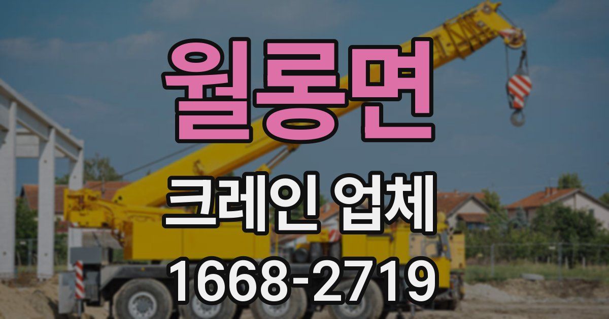 월롱면 크레인 업체