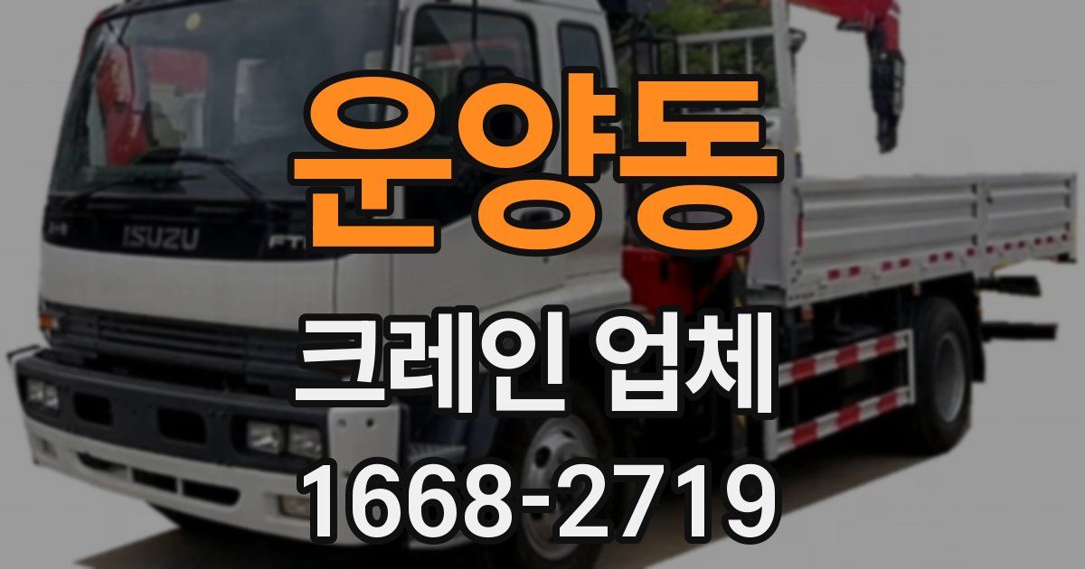 운양동 크레인 업체
