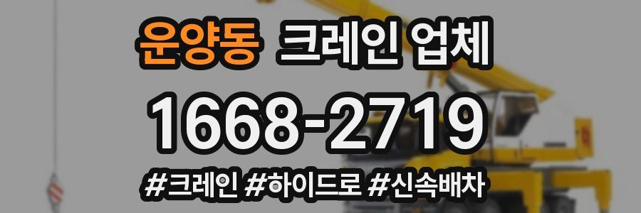 운양동 크레인 업체