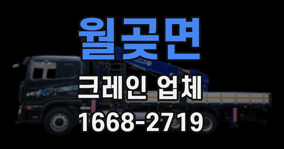 월곶면 크레인 업체