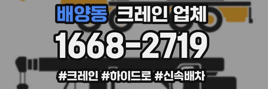 배양동 크레인 업체