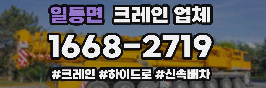 일동면 크레인 업체