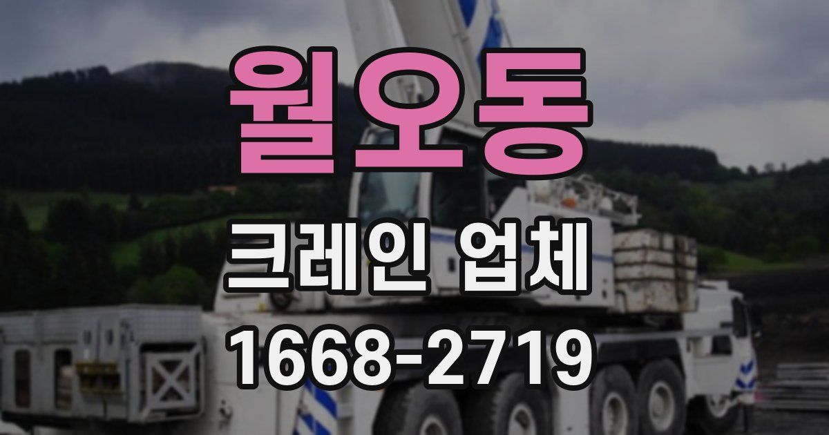월오동 크레인 업체