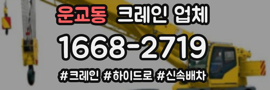 운교동 크레인 업체