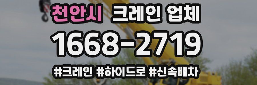 천안시 크레인 업체
