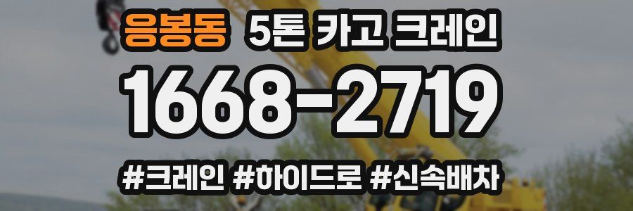 응봉동 5톤 카고 크레인