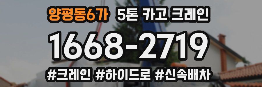 양평동6가 5톤 카고 크레인