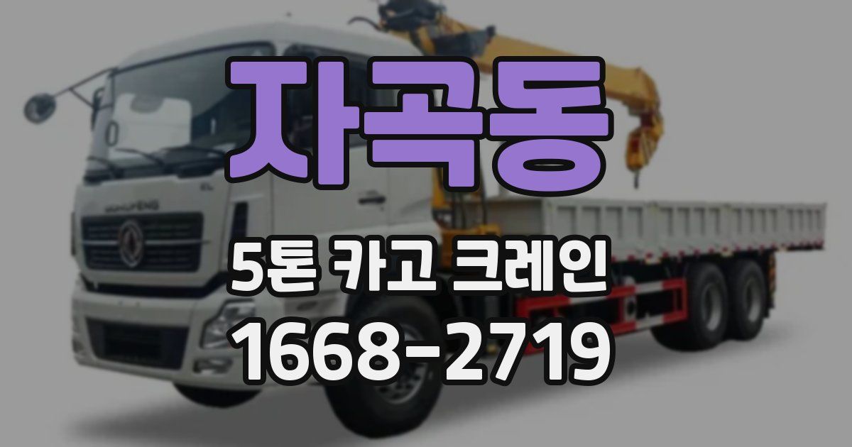 자곡동 5톤 카고 크레인