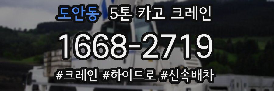 도안동 5톤 카고 크레인