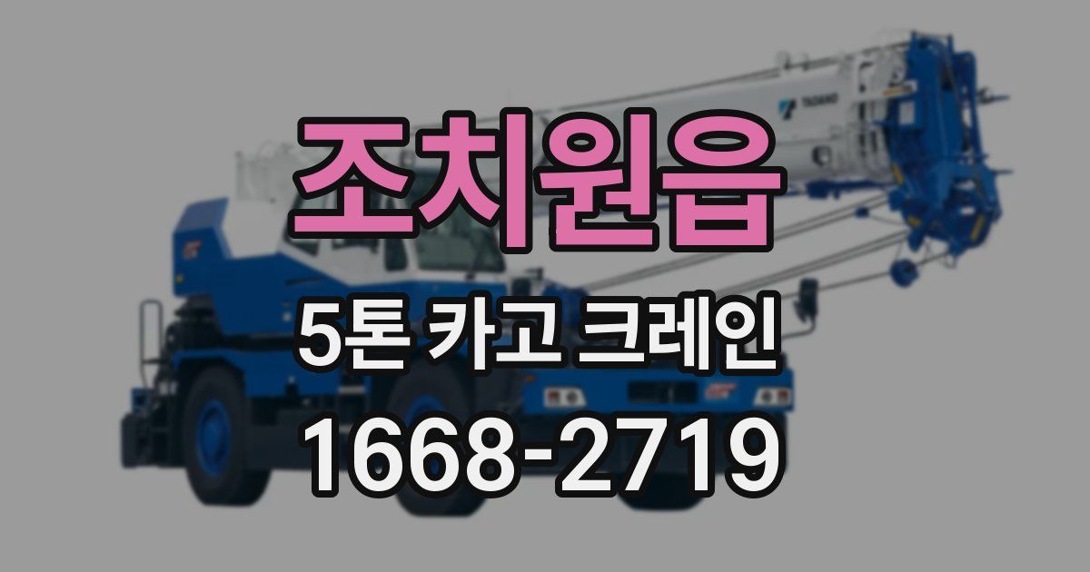 조치원읍 5톤 카고 크레인