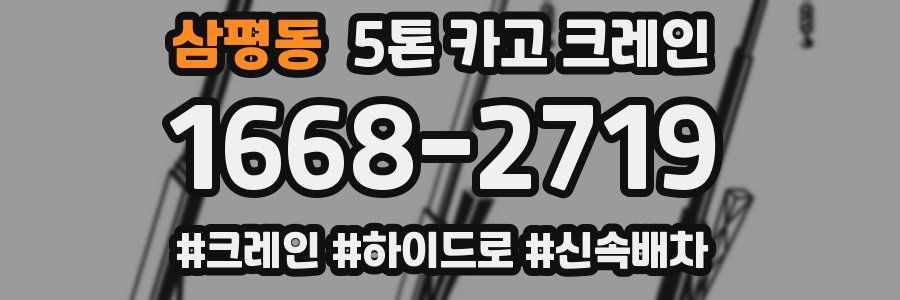 삼평동 5톤 카고 크레인