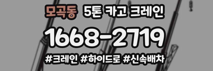 모곡동 5톤 카고 크레인