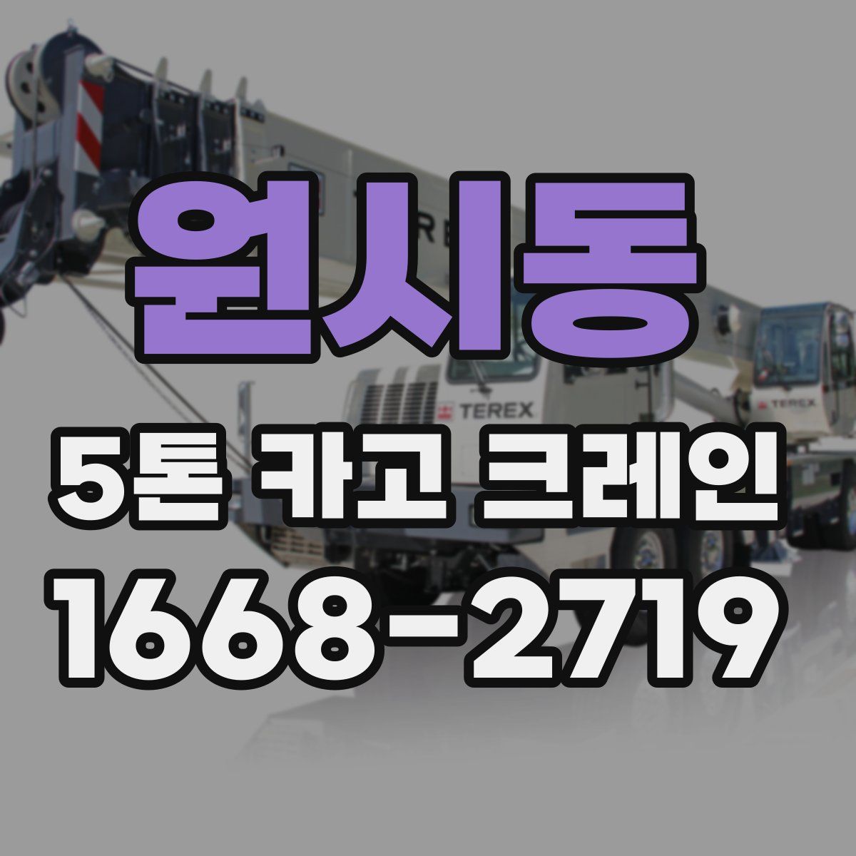 원시동 5톤 카고 크레인