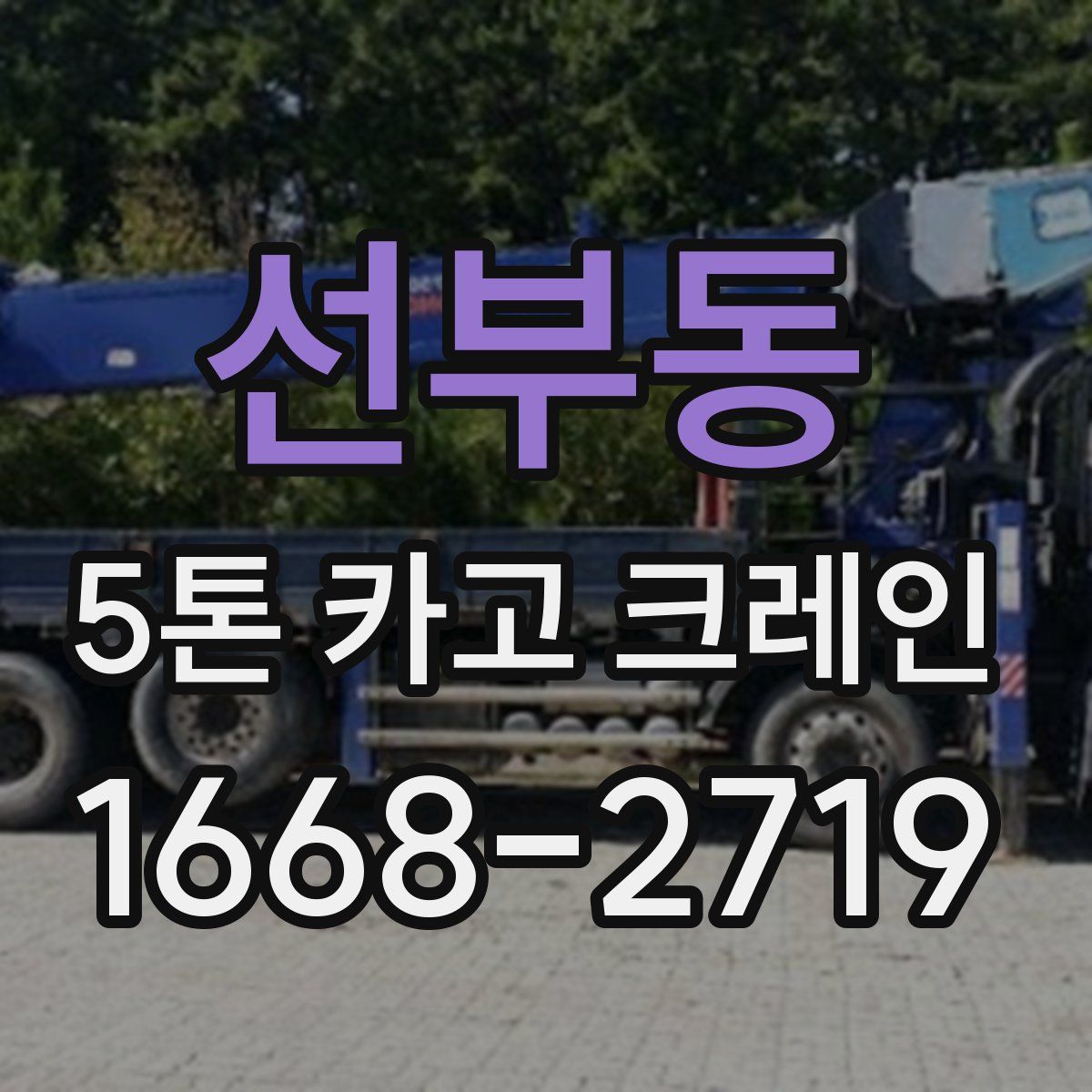 선부동 5톤 카고 크레인