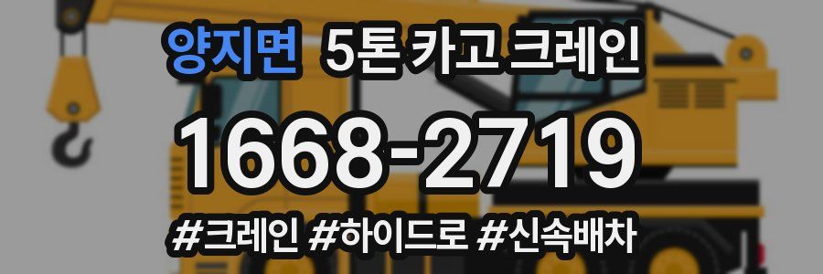 양지면 5톤 카고 크레인