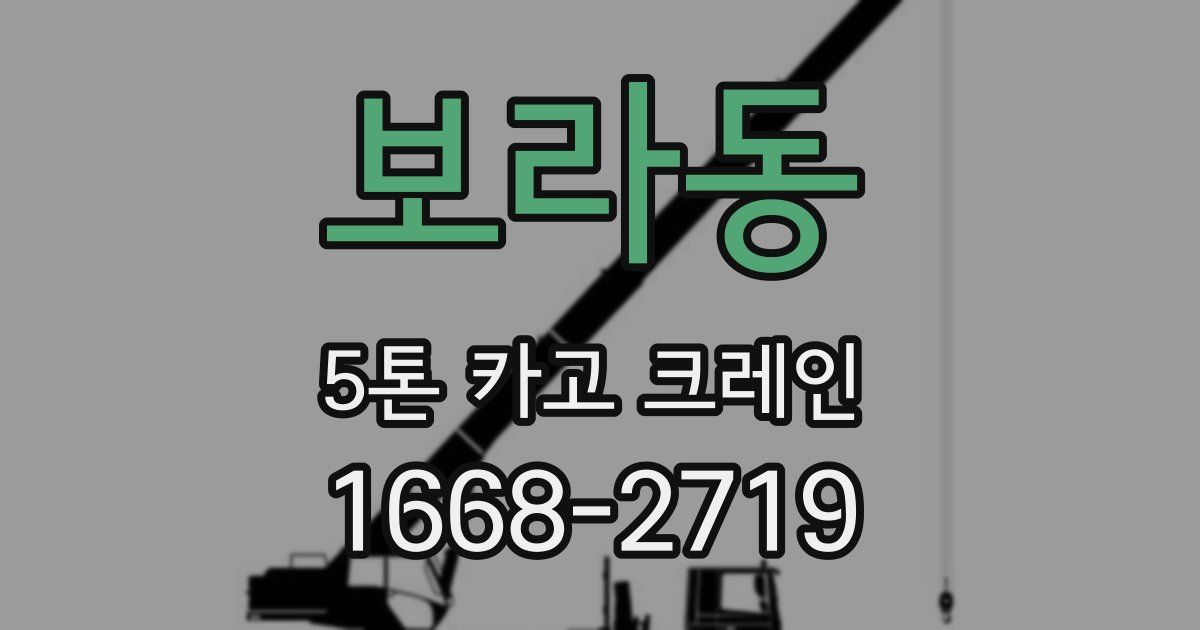 보라동 5톤 카고 크레인