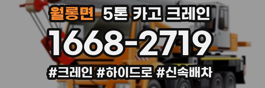 월롱면 5톤 카고 크레인