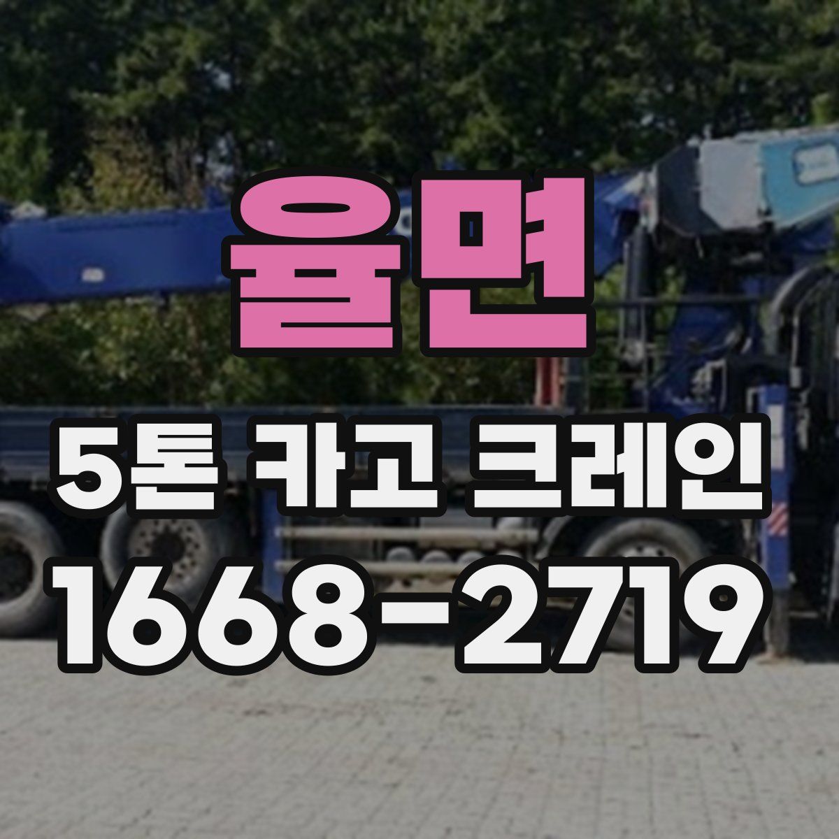 율면 5톤 카고 크레인