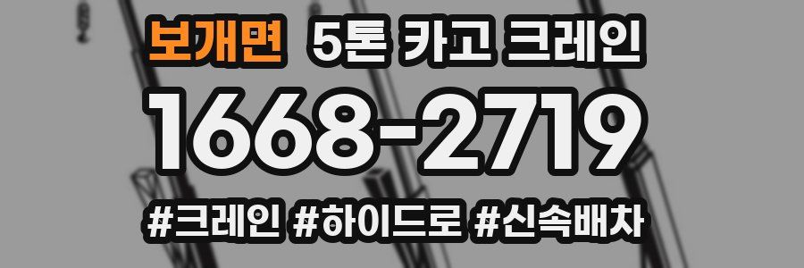 보개면 5톤 카고 크레인