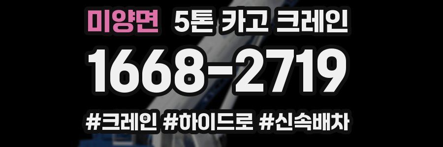 미양면 5톤 카고 크레인