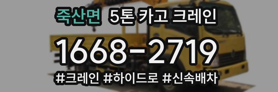 죽산면 5톤 카고 크레인