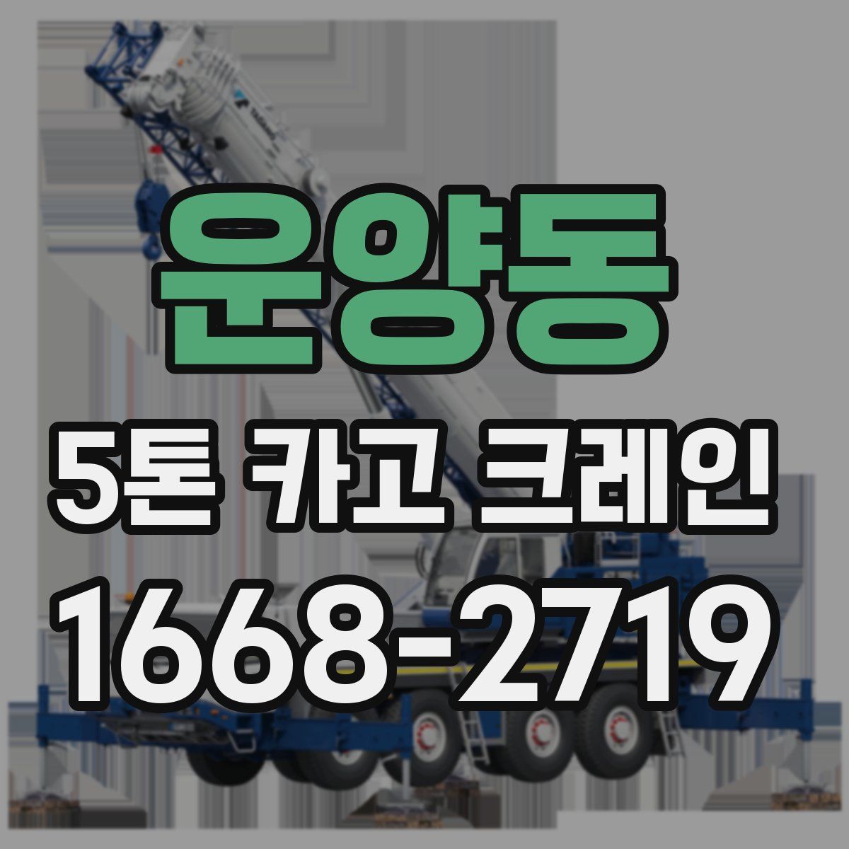 운양동 5톤 카고 크레인