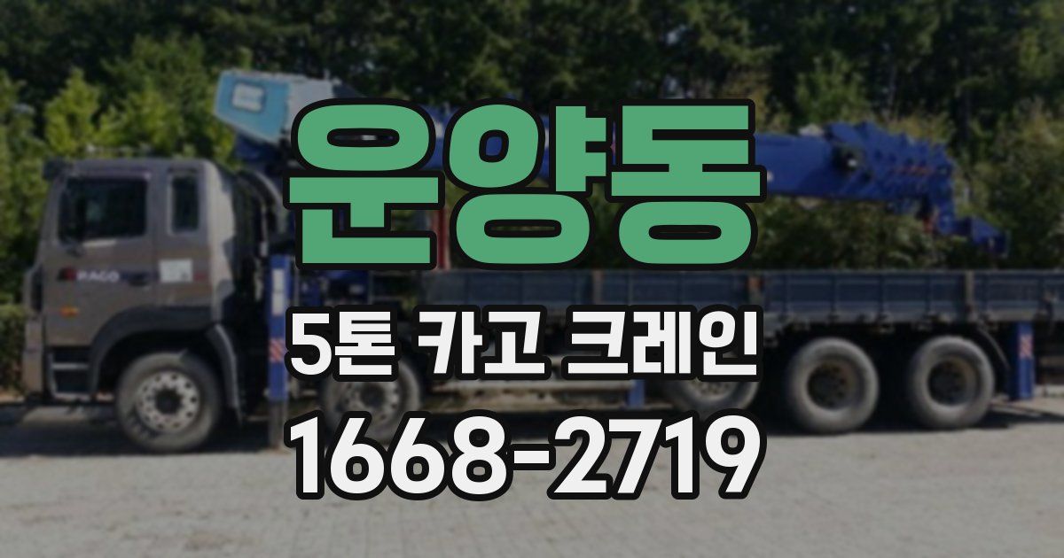 운양동 5톤 카고 크레인