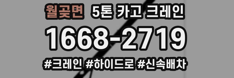 월곶면 5톤 카고 크레인