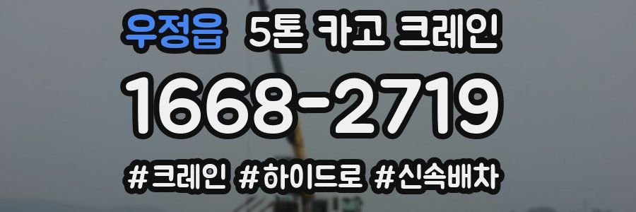 우정읍 5톤 카고 크레인
