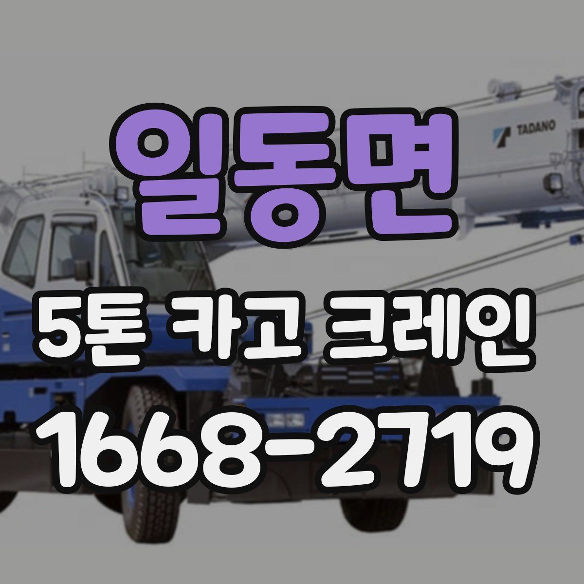 일동면 5톤 카고 크레인