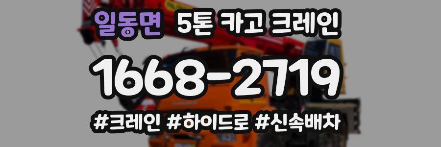 일동면 5톤 카고 크레인