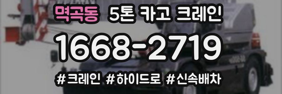 멱곡동 5톤 카고 크레인
