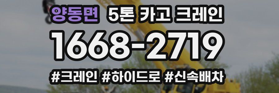 양동면 5톤 카고 크레인