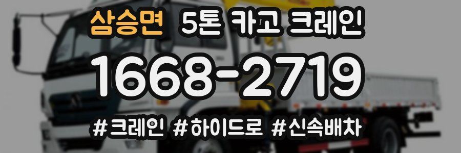삼승면 5톤 카고 크레인