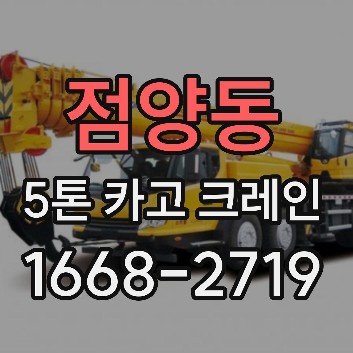 점양동 5톤 카고 크레인